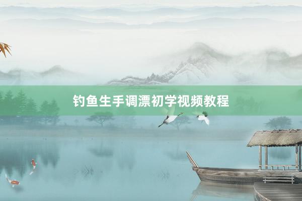 钓鱼生手调漂初学视频教程